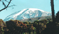 Img3.jpg