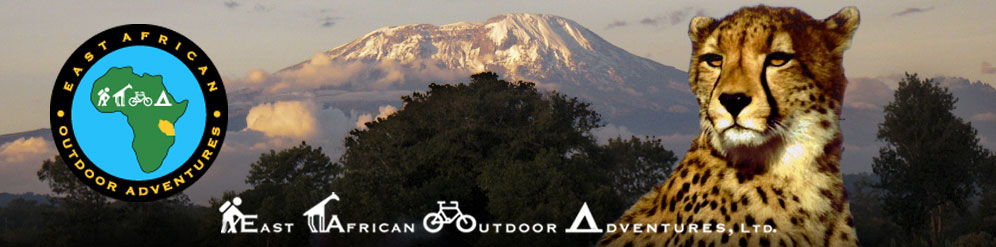 logo on summit